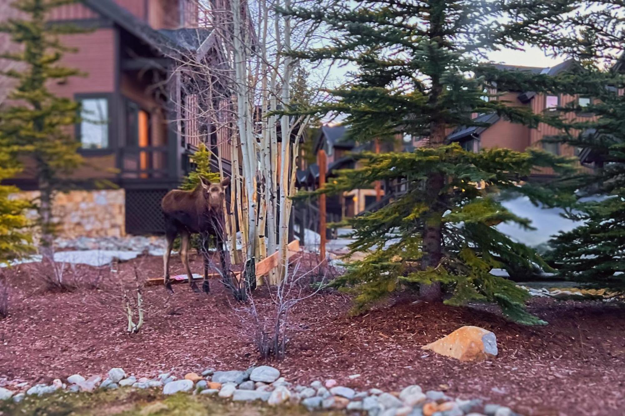 Saddlewood Villa Breckenridge Room photo